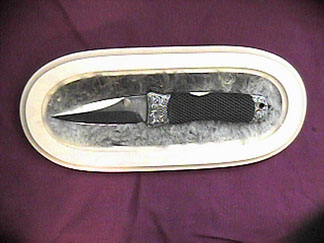 jydispfureng.jpg (20267 bytes)