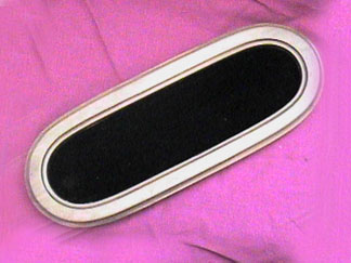 jylgdisp.jpg (57159 bytes)