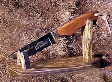 display.jpg (25104 bytes)