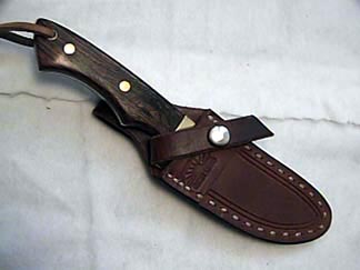 jay1.jpg (48348 bytes)